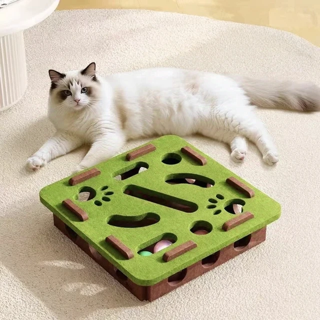 Cat Puzzle Maze Toy 2