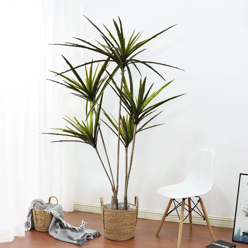 buy florida beauty philodendron Philodendron Florida Beauty Green starter plant **(ALL plants require –  GoldenGreeneryCo main image 0