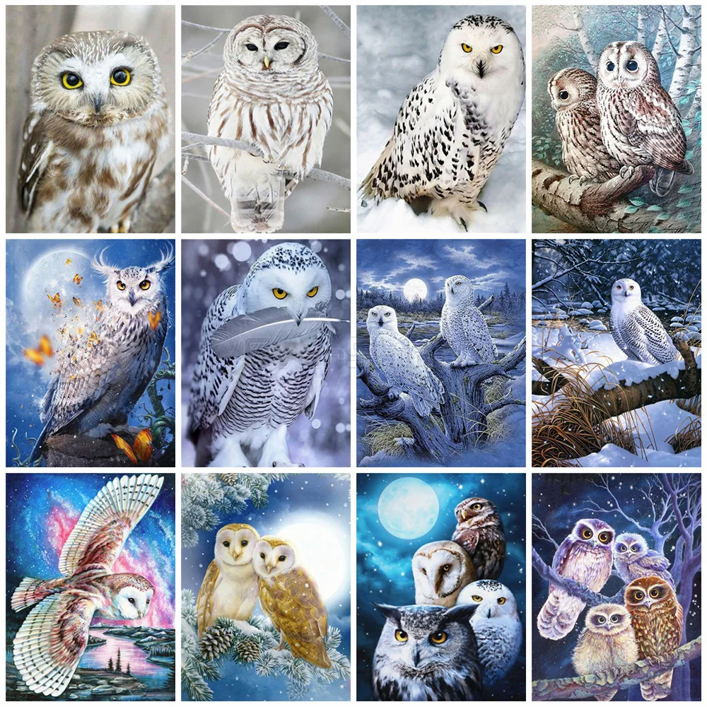 EverShine Diamond Painting Full Square Owl Cross Stitch Diamond Mosaic Animal Bead Embroidery Picture Rhinestone Wall Decoration