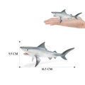 Shark-8