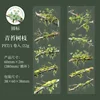 1Roll Handbook Decoration Tape PET Forest Moss Green Plant Stickers Meadow Adhesives School Supplies Scrapbook 60mm*2m 6