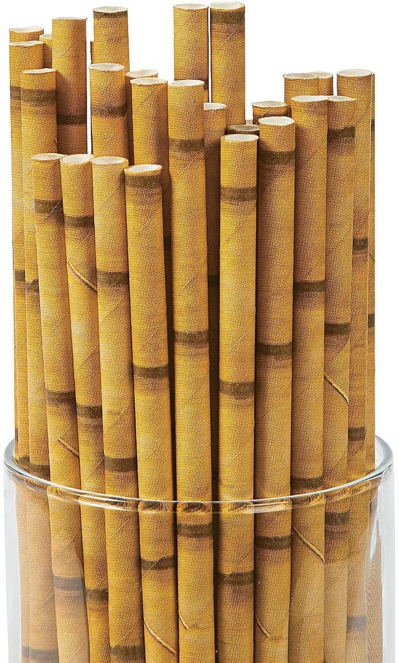 

BAMBOO PAPER STRAWS (25PC) - Party Supplies