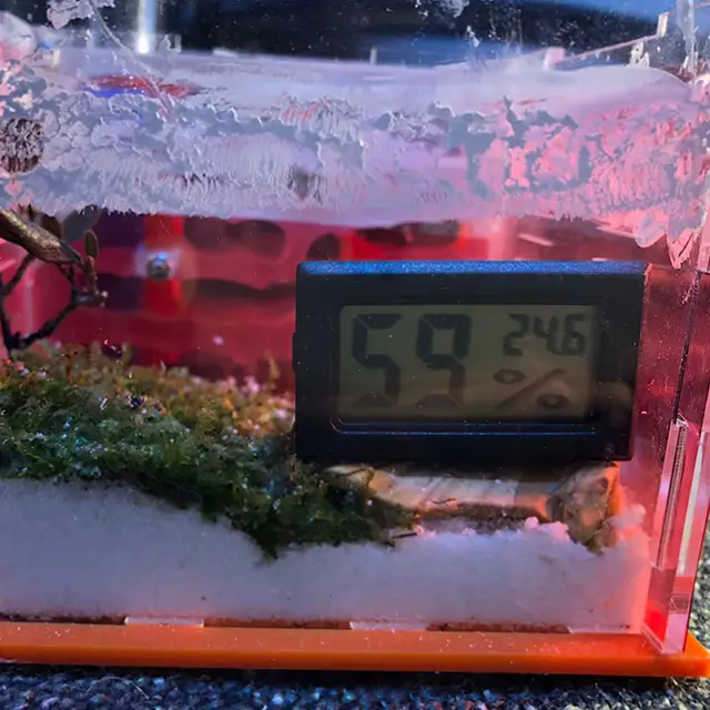 Mini Lcd Hőmérő Higriller Elektronikus Páratartalommérő Hőmérséklet -Érzékelő Időjárási Állomás Otthoni Beltéri Kijelző - Image 5