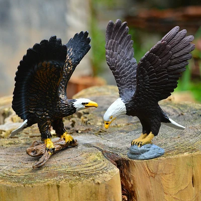 

Eagle, white headed eagle, snow Hawk Simulation animal wild animal bird ornament home decoration statues sculpture
