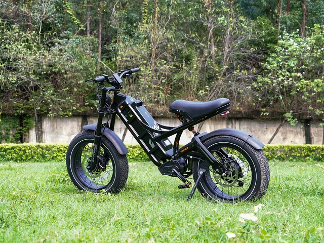 STLF Eahora Romeo Pro Custom Power 200w 100ow 300ow 2*120n-M E Bike 52v 60ah Long Range Electric Bicycle Cargo Electric Bike 5 STLF Eahora Romeo Pro Custom Power 200w 100ow 300ow 2*120n-M E Bike 52v 60ah Long Range Electric Bicycle Cargo Electric Bike 5