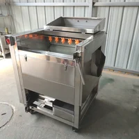 Electric Fruit Vegetable Skin Washing Peeler Automatic 200KG / H Potato Carrot Cleaning Peeling Machine Sweet Potato Ginger 2
