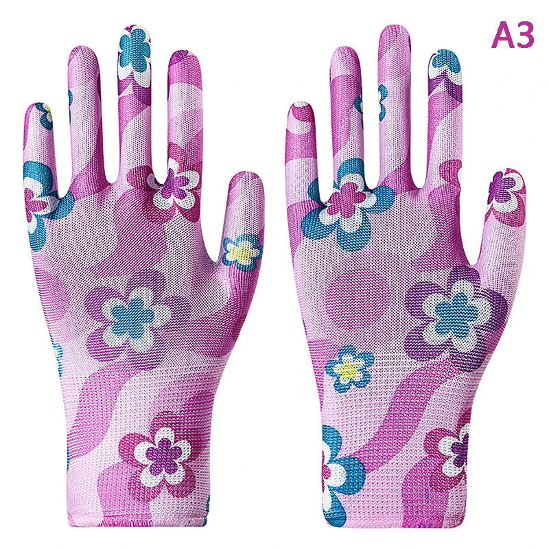 A3