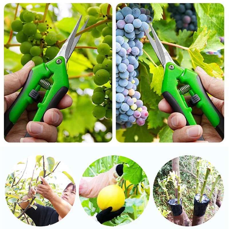정원용 전정가위, 손가위, 포도 손질용 가위, 직선형 엘보우 스테인리스 스틸 날, 식물용