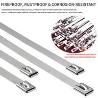 7.9mm 304 Stainless Steel Cable Ties, Heavy Duty Self-Locking Metal Zip Ties for Outdoor Cable Tray Wiring 5