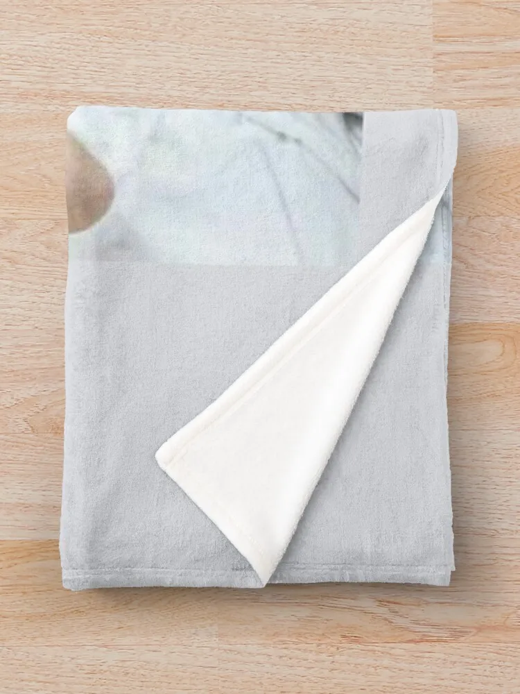 Chayanne ��� �ε巯�� ħ�� ���