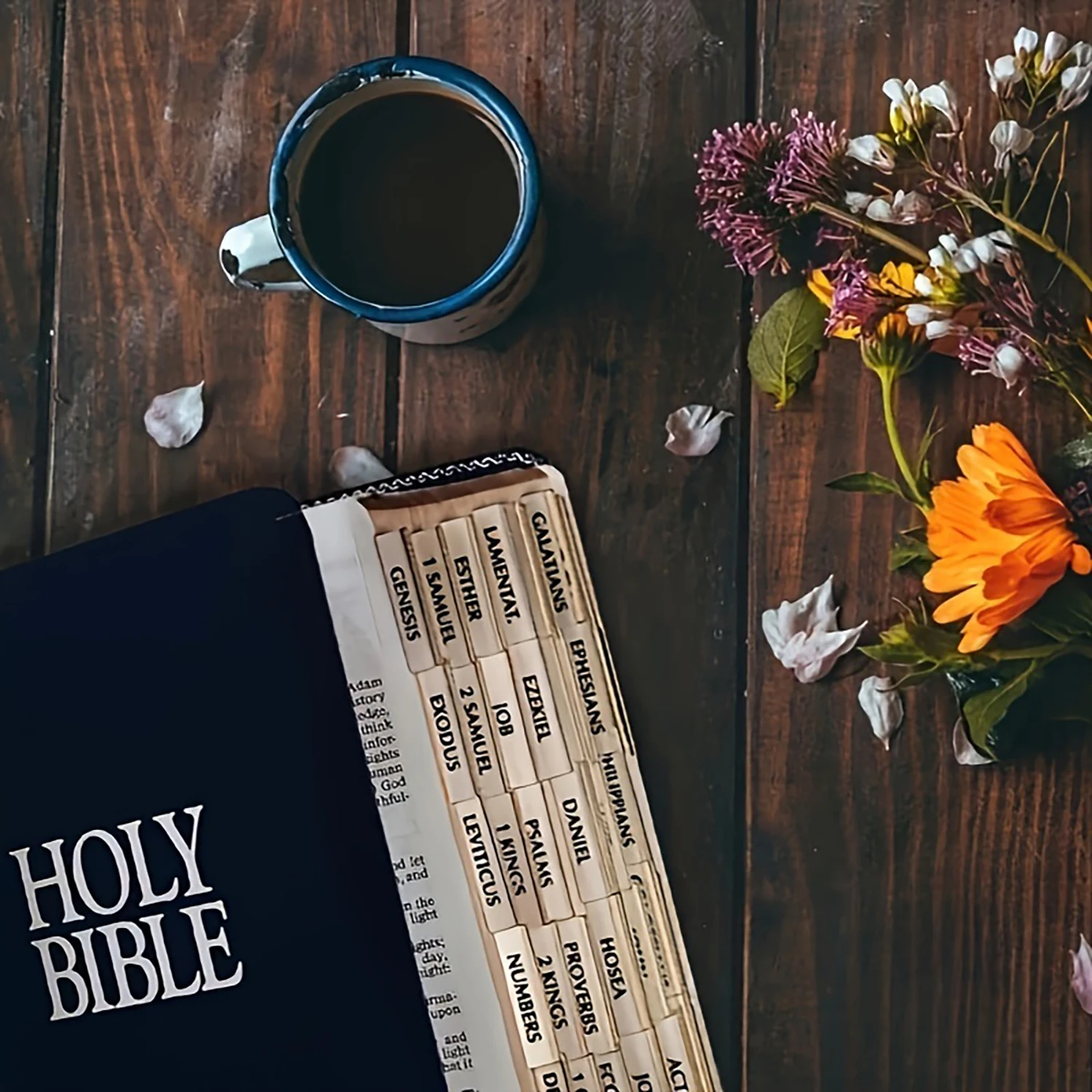 Bible Tabs,Bible Sticky Tabs For Old And New Testament,Bible Book Tabs,Bible Labels Tabs,Bible Tabs,Sticky Tabs.(Golden Edged) - 6