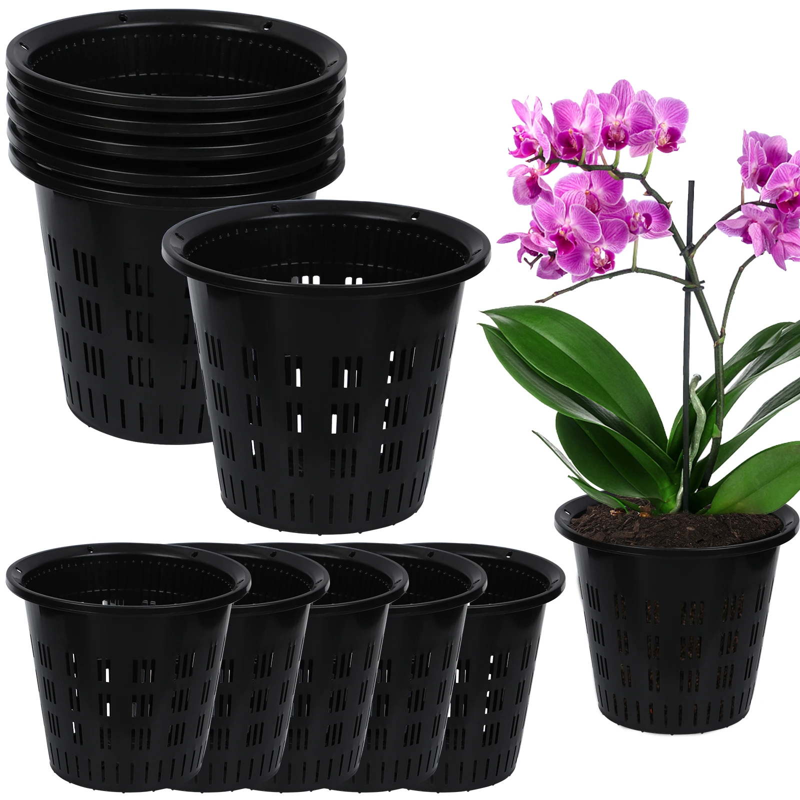 12 Pcs Clear Orchid Pot Set Orchid Breathable Slotted Plastic Plant Pot
