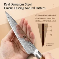 XINZUO 5" inch Utility Knife Kitchen Knives Japanese 73-layer Powder Steel Core Damascus Steel 62-64 HRC Vegetable Peeling Knife 3