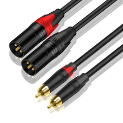Dual Lotus RCA to XLR Audio Cable for Microphone and Instrument Connection (2RCA to 2 XLR Male)