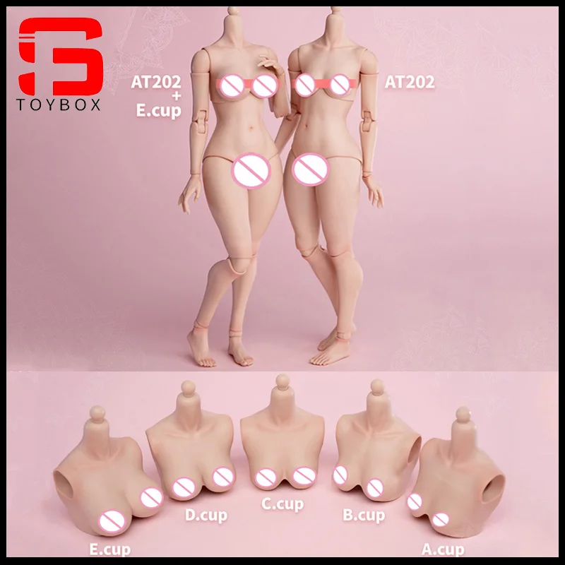 Worldbox 1/6 Female D Cup E Cup Breast Big Bust Breast Replacement Model  Fit AT201 AT202 AT203 Pale Suntan Action Figure Body - AliExpress