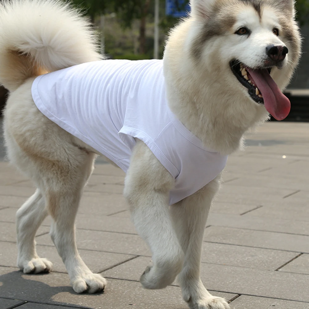 Large Dog T Shirts atelieryuwa.ciao.jp