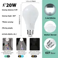 20W Cold White