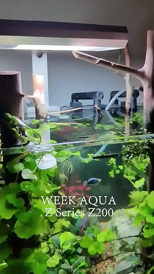 WEEKAQUA-UVフルスペクトル水族館ライト,z200シリーズ,rgb,rgb,LED