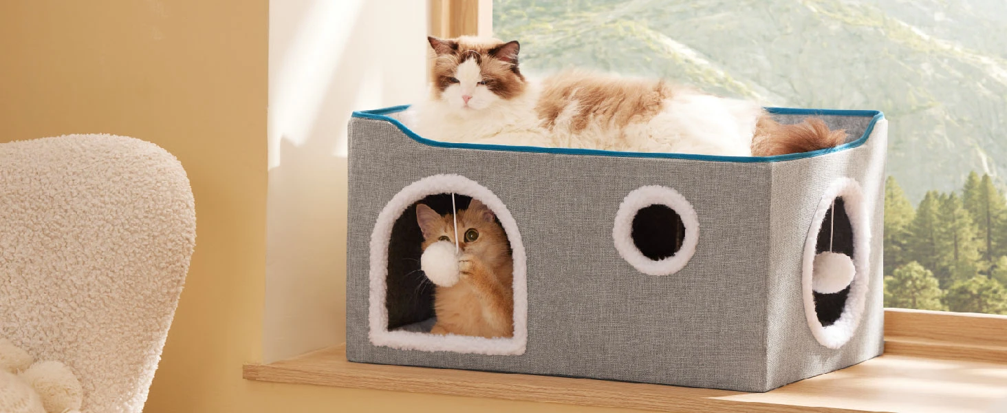 cat house