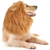 Cute Pet Dog Cosplay Clothes Lion Mane For Dog Costumes Realistic Lion Wig For Medium to Large Dogs With Ear Pet Accessories 2