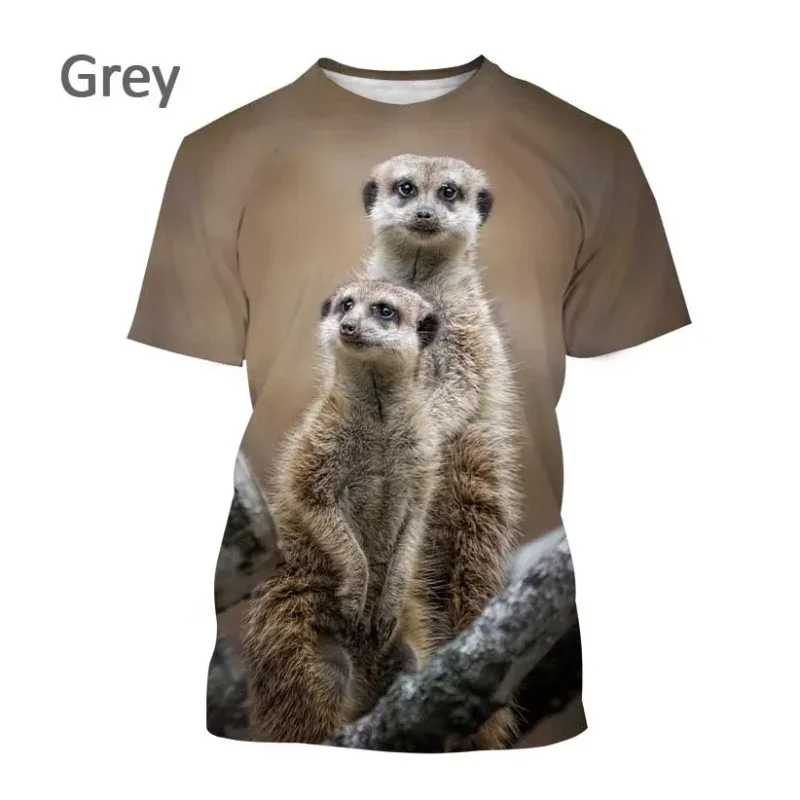 

Fashion Women Clothing New Fun Meerkat 3D Print T-shirt Personality Hip-hop Street Unisex Oversized T Shirt Harajuku Tops Tees