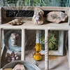 1PC Child Toy Simulated Resin Fossil Ornament Crawling Terrarium Decors Decorative Container Landscape Reptile 4