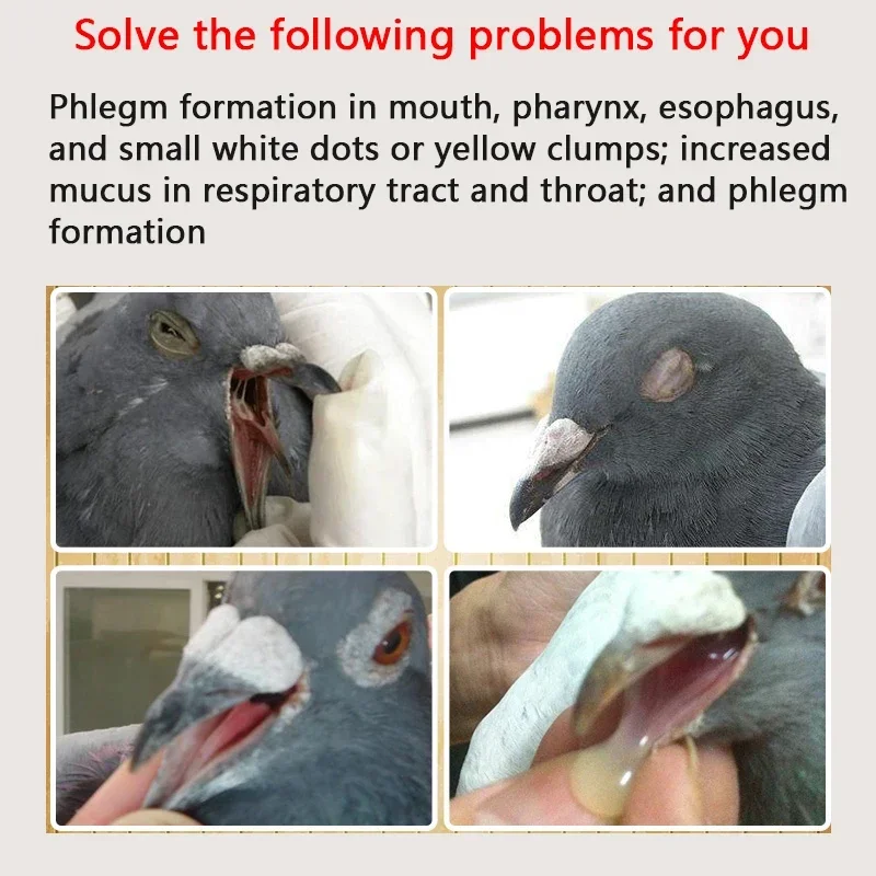 Pigeon cleaning Trichomonas oral white spots respiratory nutrition additives probiotics powder mouth yellow snoring cough green