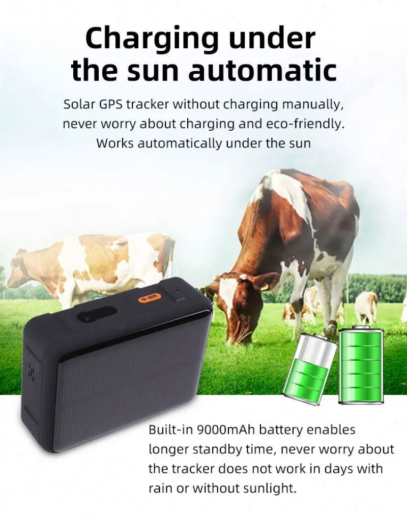 2G Gsm Trackers Animals Trailer Tracking Device Waterproof Chip Animal for Cow Sheep Powered Ear Tags Solar Gps Tracker