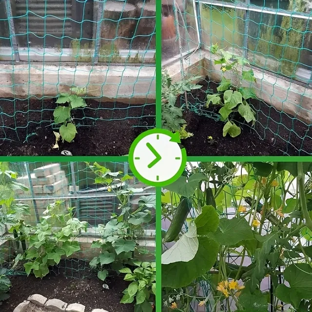 Plant Trellis Pergolas, Heavy-Duty Polyester Grow Net, Garden Trellis Netting With Square Mesh For Climbing Plants, Vegetables, 3
