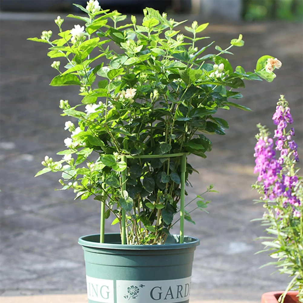 Description Picture 5 of itemPlant Support Cage Tomato Plant Support Stakes Garden Cucumber Trellis Round Tomato Cage for Vegetables Flowersb Fruit Rose Vine