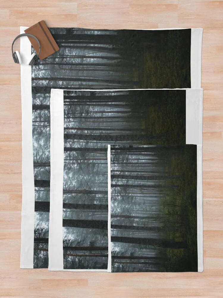 �Ȱ� �� �� ������ ���, ���� ���� ���