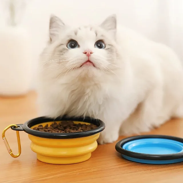 Portable Folding Silicone Pet Bowl 2