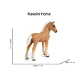 Havlin 2
