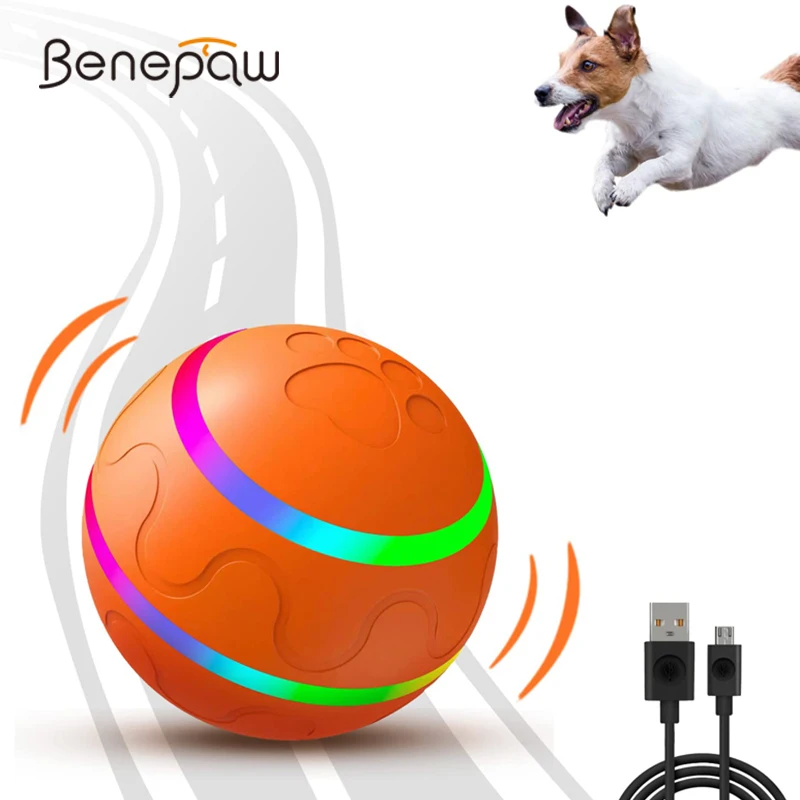 Interactive Dog Ball Toys, Active Rolling Ball for Indoor Dogs/Cats with  Motion Activated/USB Rechargeable, Moving Bouncing Ball pet Puzzle Toy