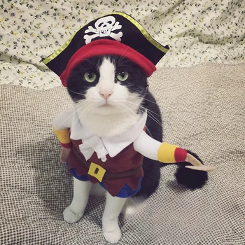 Dog clothes pirate pet dog to suit cat pet clothes cute pet four seasons can wear 3