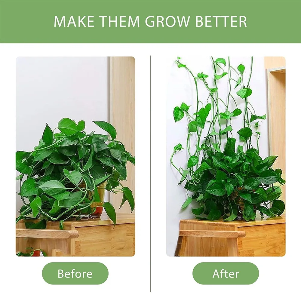 Plant Clips for Climbing Plants(Pack of 60), Stems Upright, Vines_OFSS