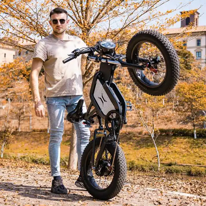48v 2000W 55 km/h 35Ah motor 20 inch High Endurance Higt Power Heavy Load folding Mountaineering Travel electric adults bike for