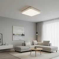 18W-48W ไฟ LED เพดาน 30 ซม. ไฟเพดานสี่เหลี่ยมแผงไฟห้องนอนห้องครัวห้องนั่งเล่นไฟตกแต่ง AC 110-220V 2