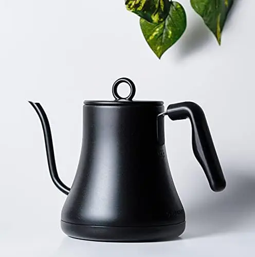 

Boiling kettle electric Electric kettle car Hot water kettle Xaomi Hervidor de agua electrico envio gratis Drew barrymore Portab