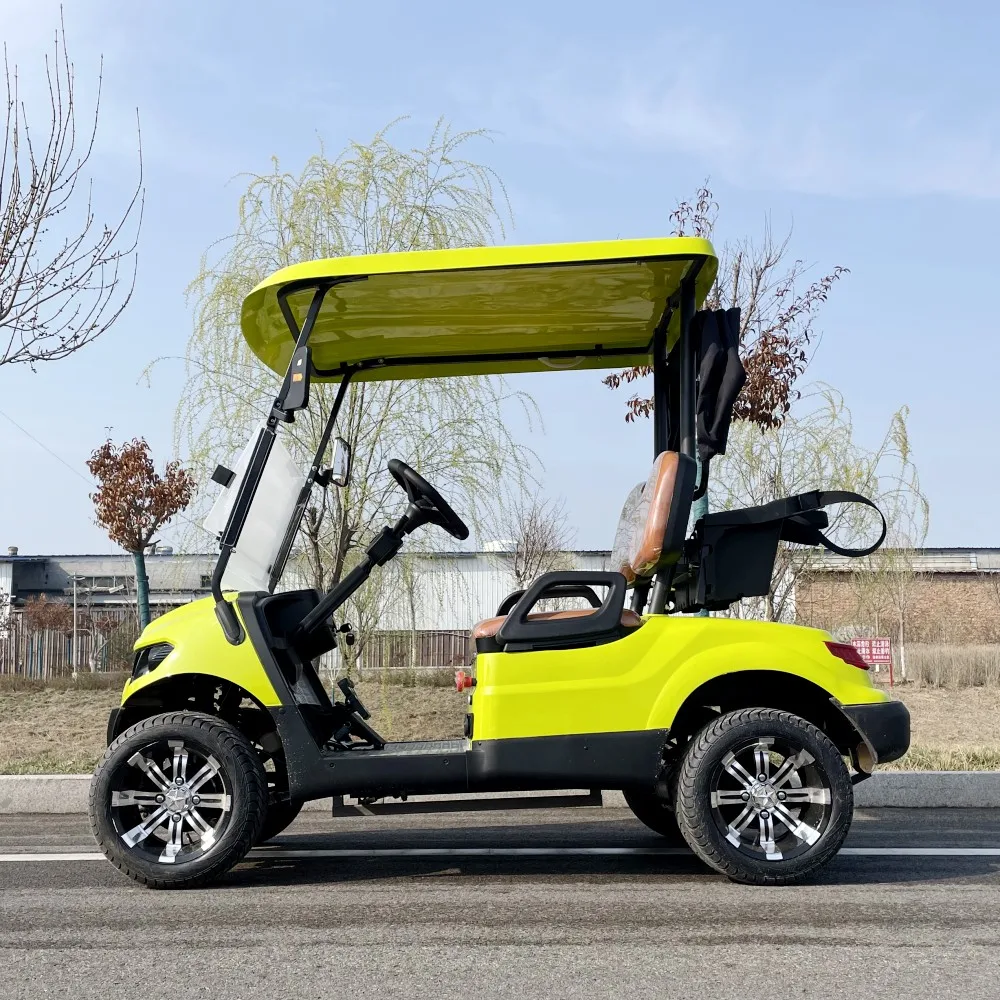 Ultime Tendenze Golf Cart 48V 4Kw Motore 2 4 Posti Golf Buggy Cart Elettrico Con Cinghie E Cestino Per Sacca Da Golf