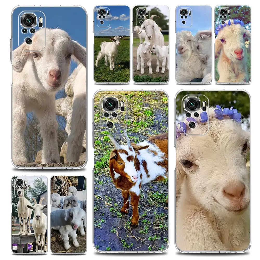 Clear Soft TPU Cartoon Cute Goat Phone Case