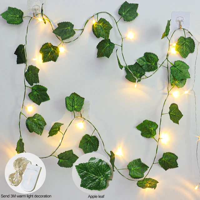 Ivy-03