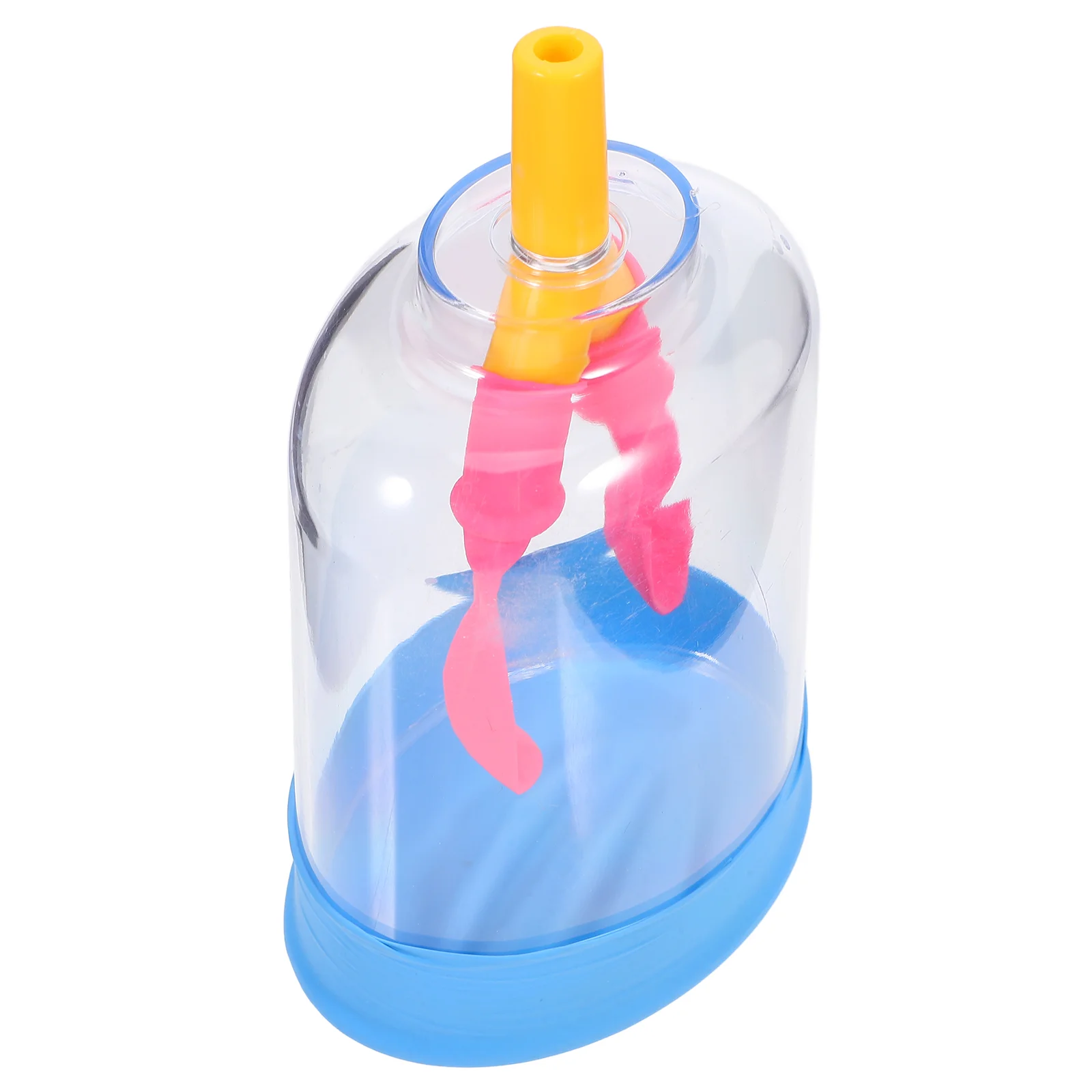 Plastic Human Lung Model Education Teaching Aid Biology Experiment Tool Scientific Instrument Breathing Lungs Function Anatomy