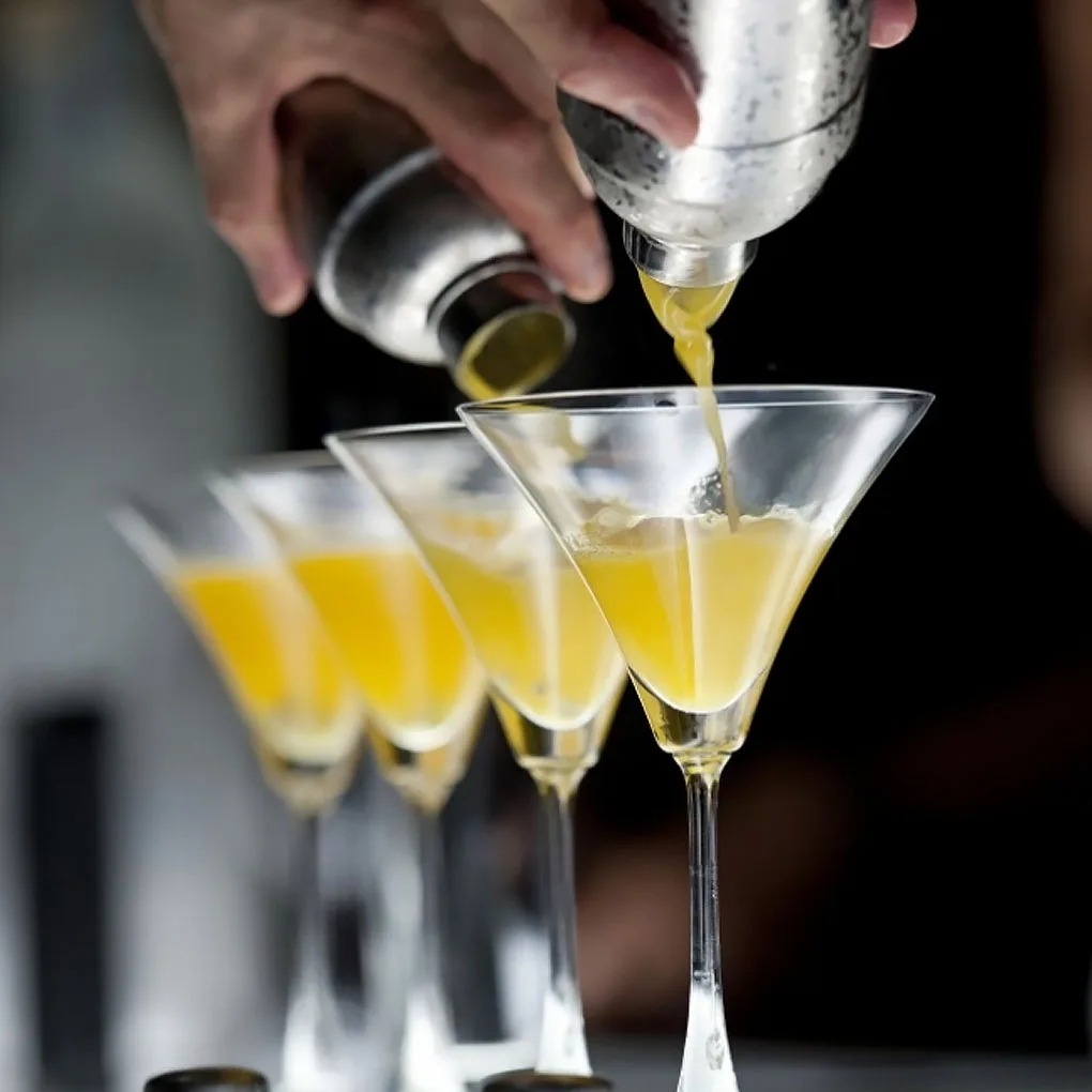 Professional Cocktail Shaker