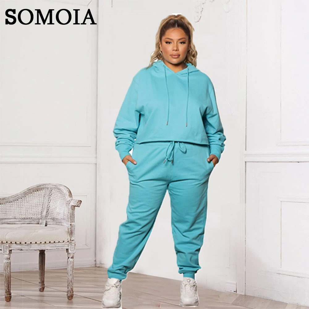 Plus Size Women's Clothing Hooded Sweater Two Piece Sets Fashion Crop