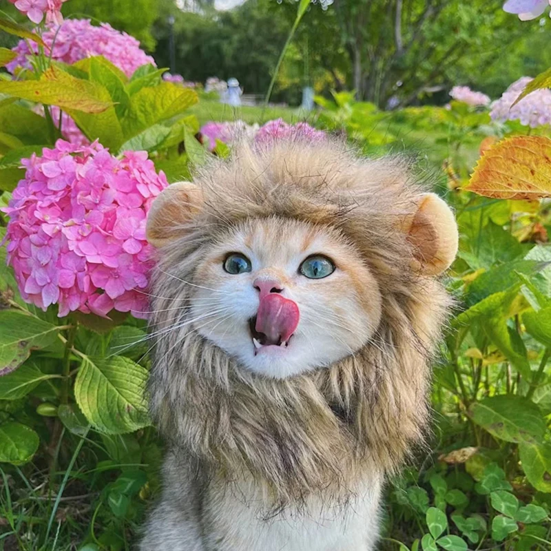 LionWigCostumeCatsAccessoriesCuteFunnyPetsClothesCapFancy