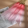 Gradient Rose