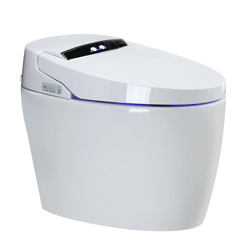 

Floor Mounted Wc Automatic One Piece Toilet Bowl Intelligent Ceramic Smart Commode