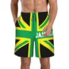 3D Jamaica Lion Flag Graphic Beach Shorts Pants Men Board Shorts Swimsuit homme 2024 Summer Swim Trunks Cool Kids y2k Ice Shorts 1