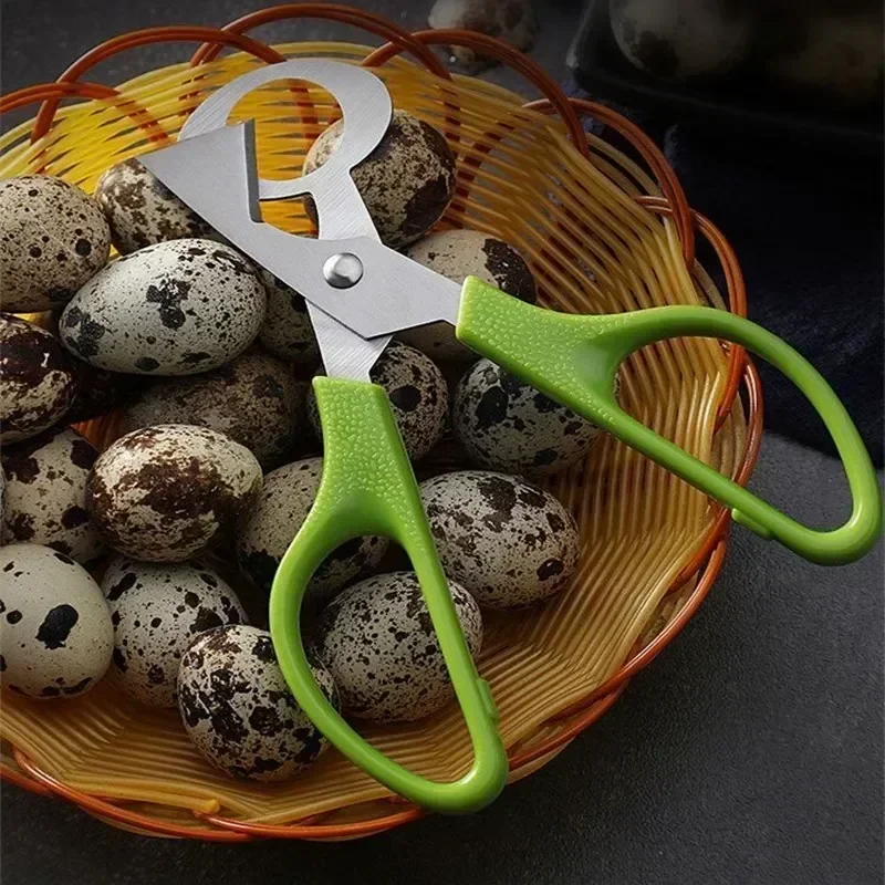 Egg Cutter Pigeon Quail Bird Eggshell Separator Cigar Cutter Opener Tool